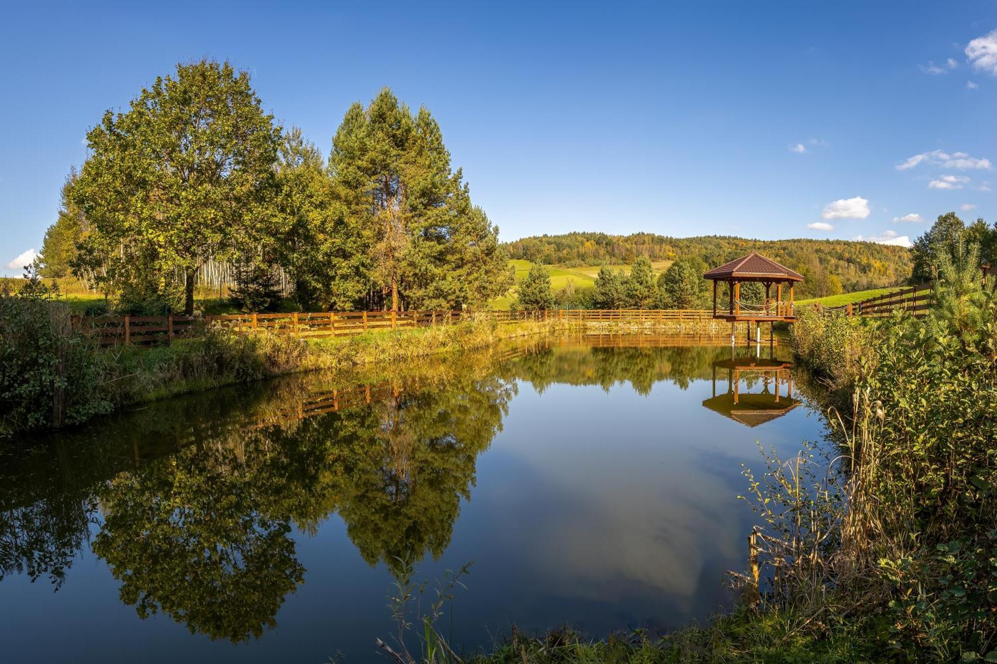 ホテル Glamping Pod Gwiazdami Pietrusza Wola エクステリア 写真