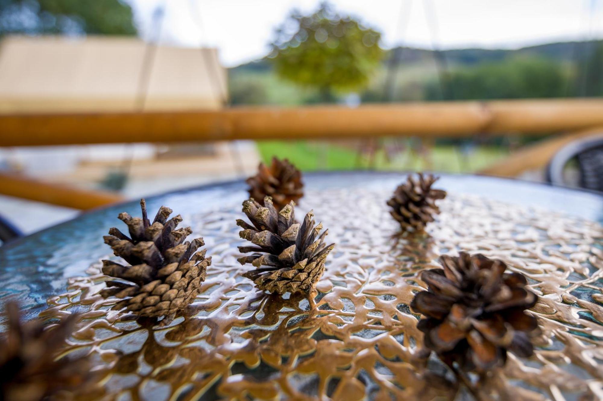 ホテル Glamping Pod Gwiazdami Pietrusza Wola エクステリア 写真